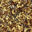 Encens en grains 1kg - Les Bougies de France