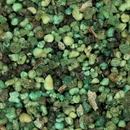 Encens en grains 1kg - Les Bougies de France