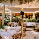 Bouteilles de cire liquide naturelle parfum citronnelle - 1L (x12)