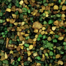 Encens en grains 1kg - Les Bougies de France
