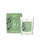 Bougies parfum jasmin - 45h Ø75/110 mm (x6) - Les Bougies de France