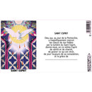 Bougies neuvaines avec effigies - 216h Ø60/180 mm (x1) - Les Bougies de France